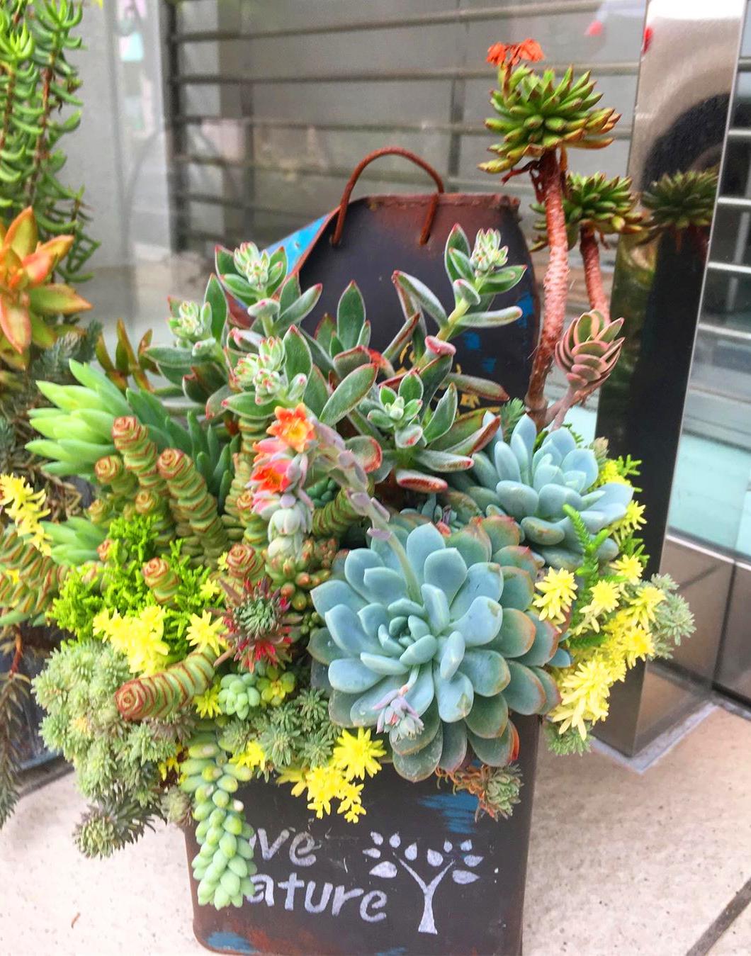 60 Gorgeous Succulent Planters Instantly Beautifying Your Home #Succulent 