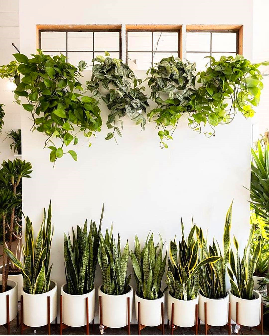 65+ Indoor Garden Ideas You Will Fall For