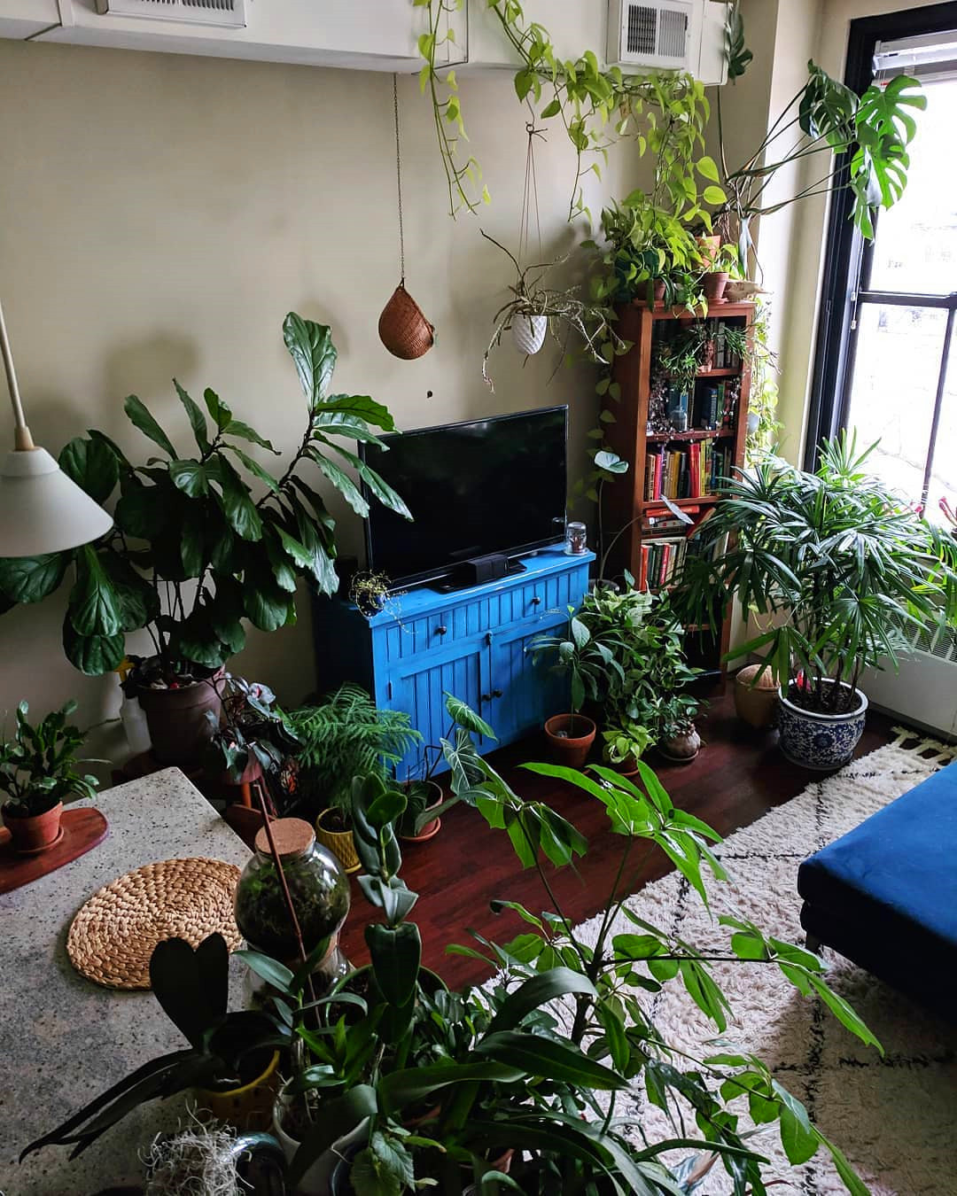 65+ Indoor Garden Ideas You Will Fall For