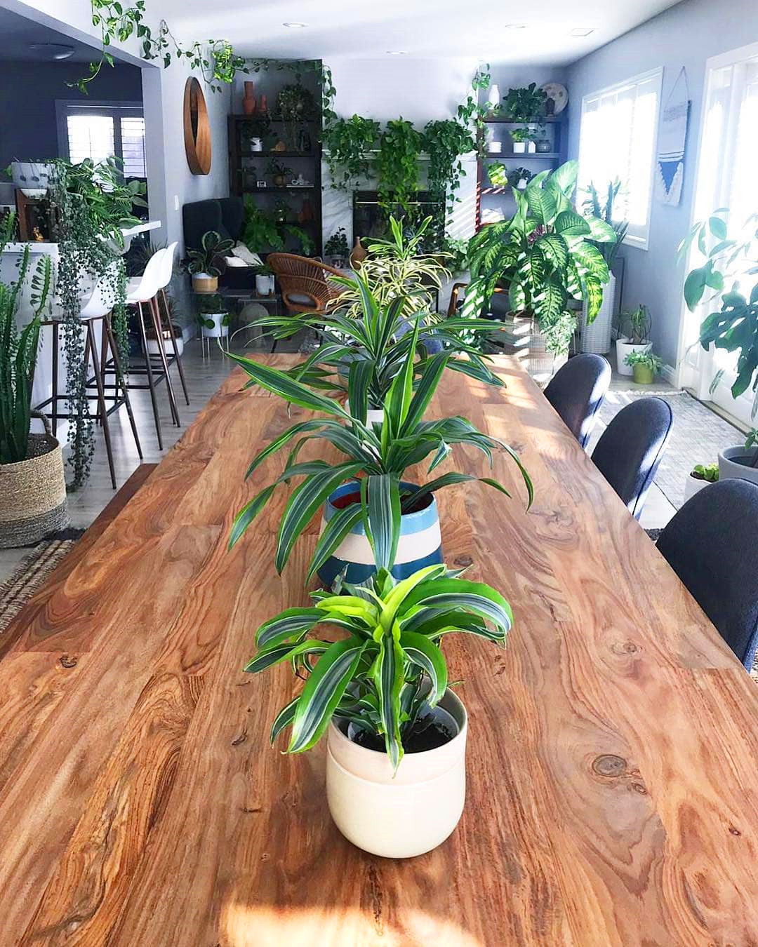 65+ Indoor Garden Ideas You Will Fall For