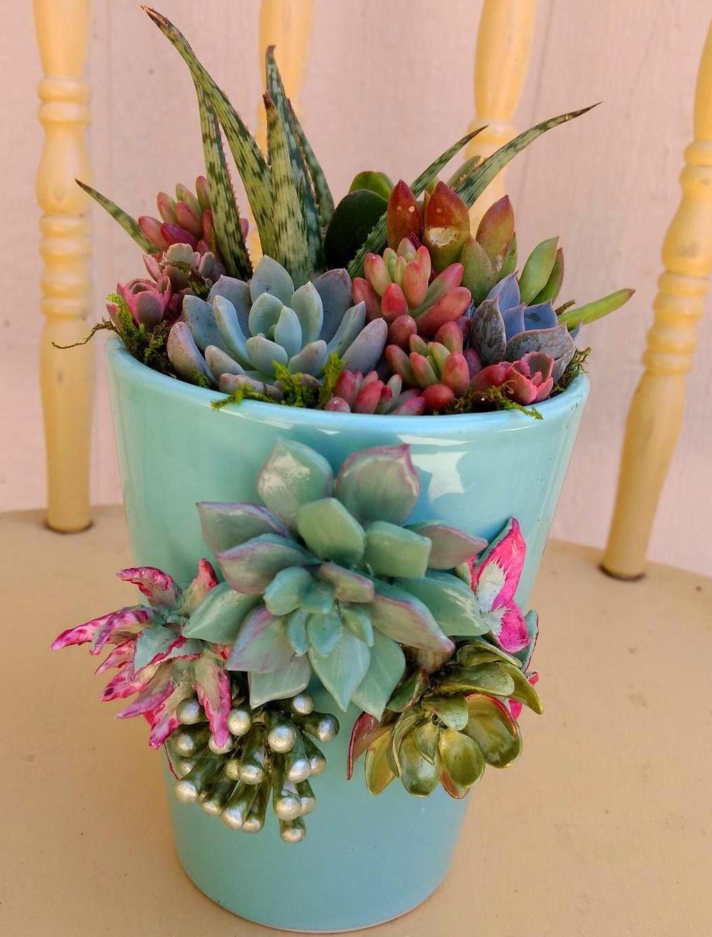 60 DIY Succulent Ball Sphere Planter Instruction