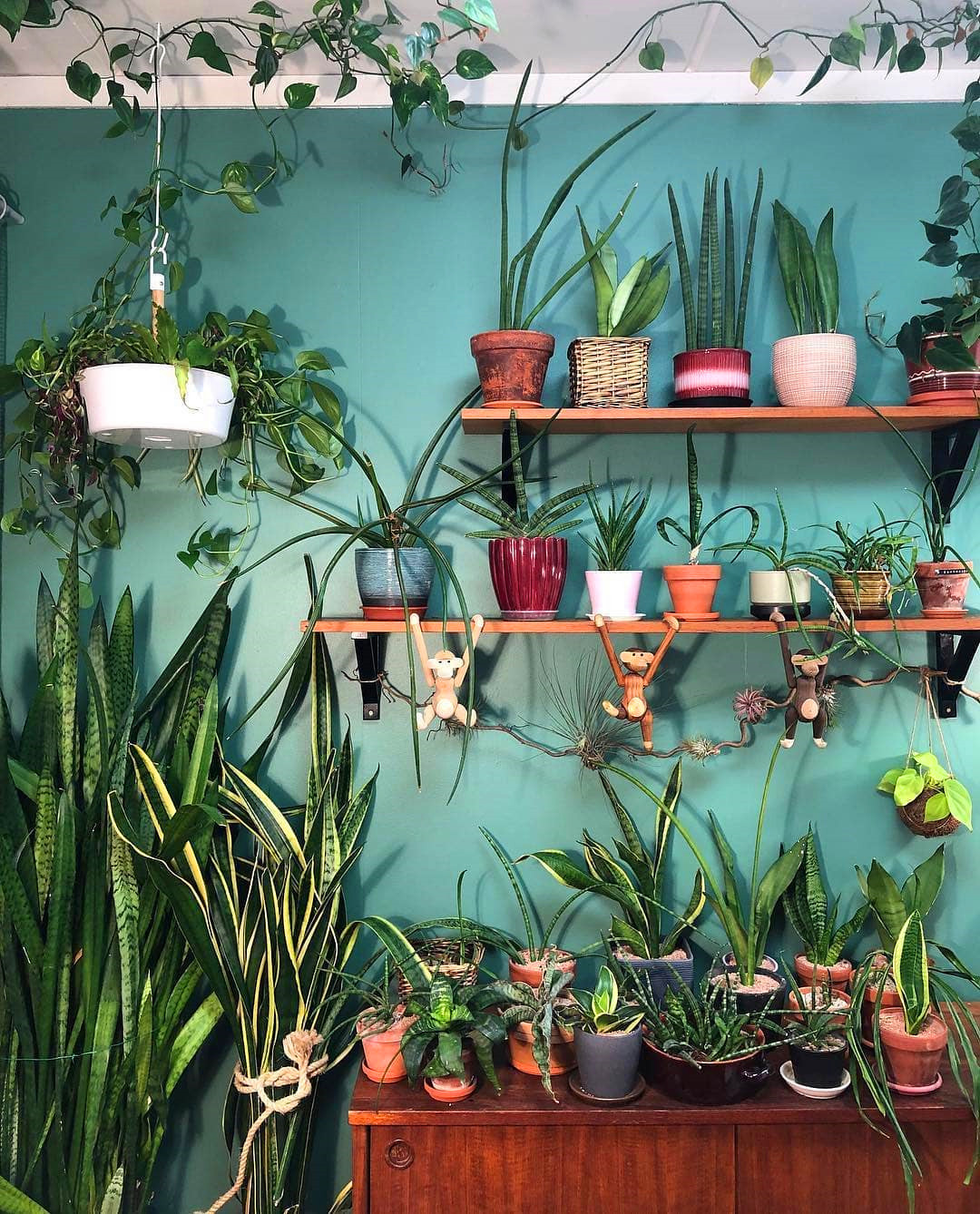 60+ Beautiful Indoor Plants Design in Your Interior Home