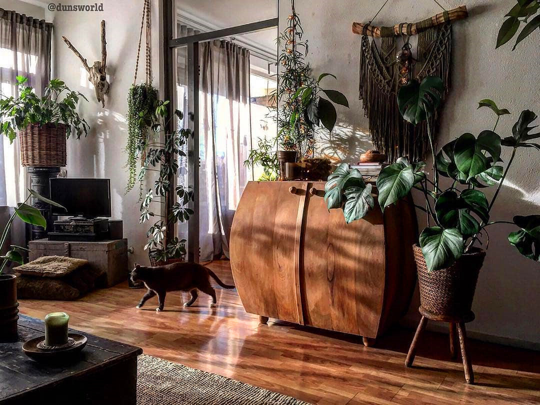 60+ Beautiful Indoor Plants Design in Your Interior Home