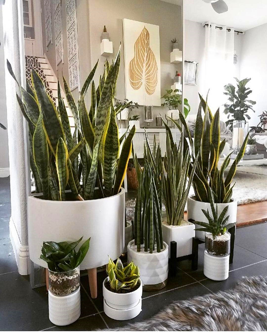 60+ Beautiful Indoor Plants Design in Your Interior Home