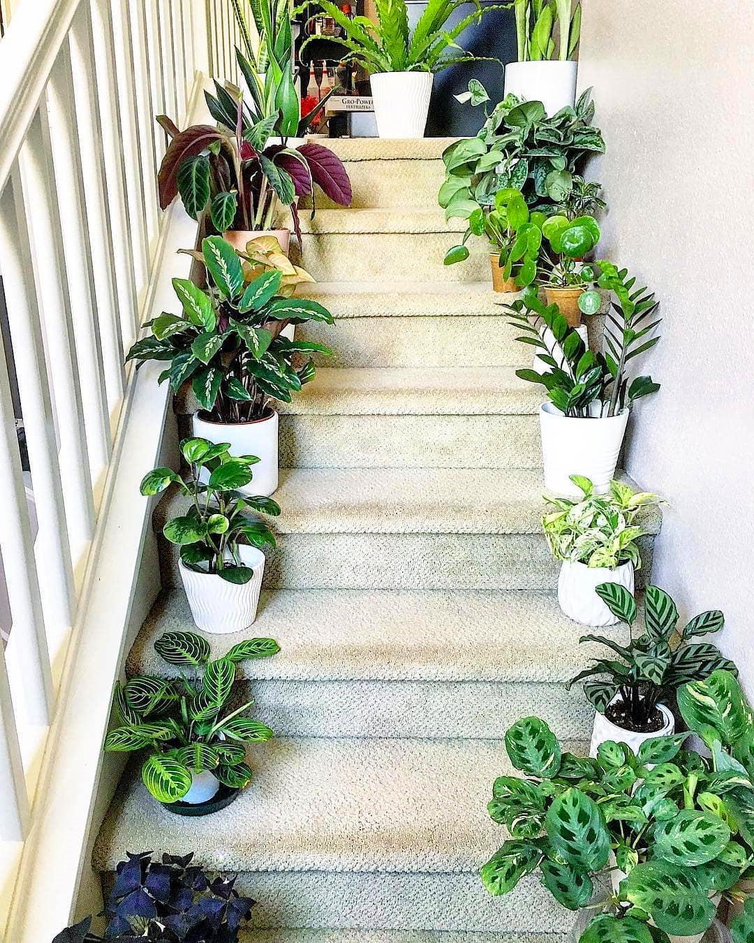 60+ Beautiful Indoor Plants Design in Your Interior Home