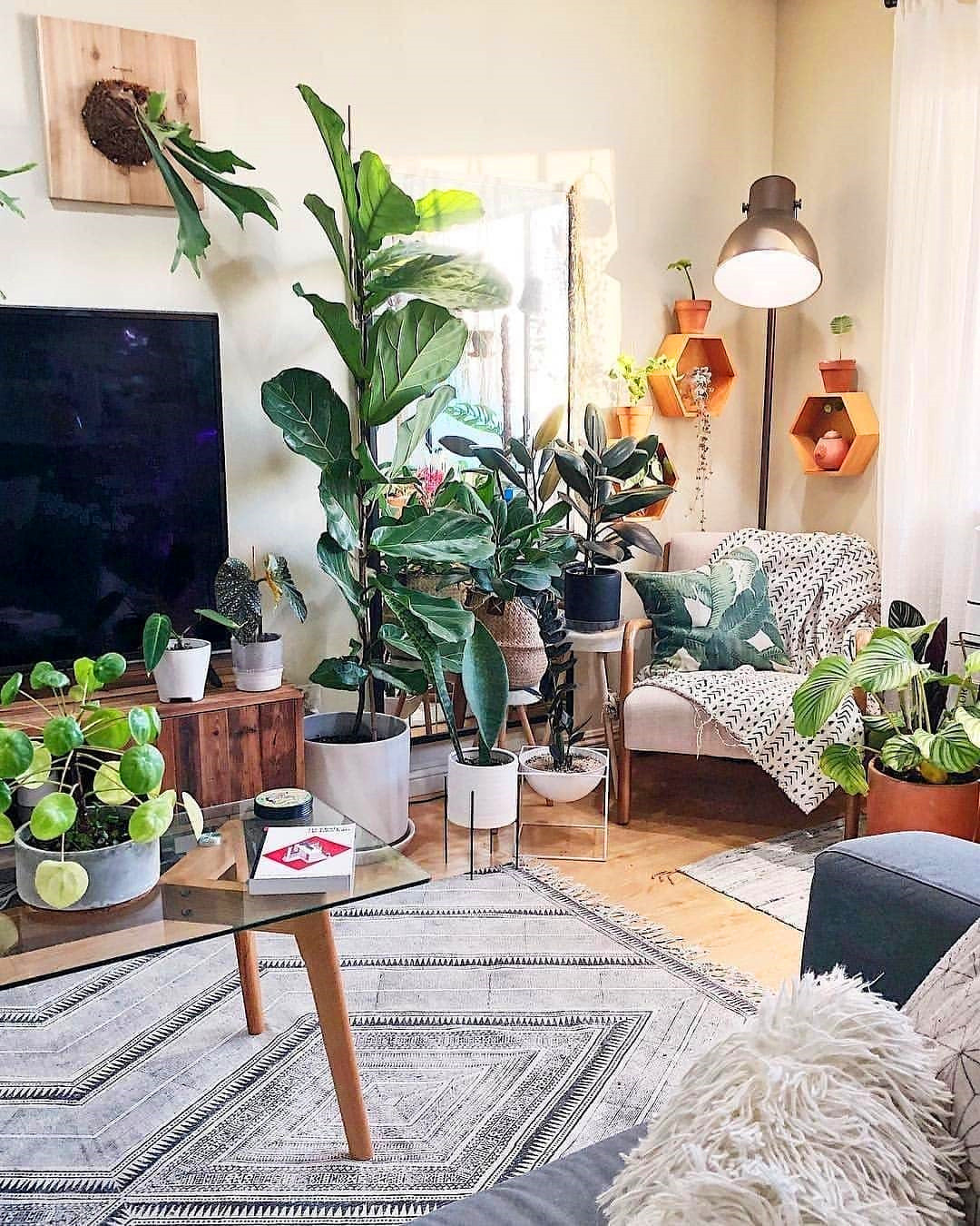 60+ Beautiful Indoor Plants Design in Your Interior Home