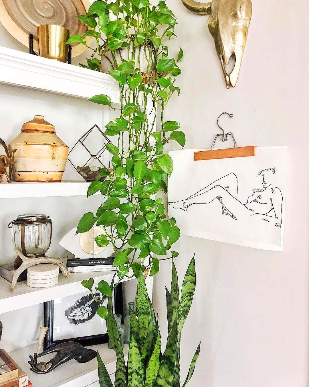 60+ Beautiful Indoor Plants Design in Your Interior Home