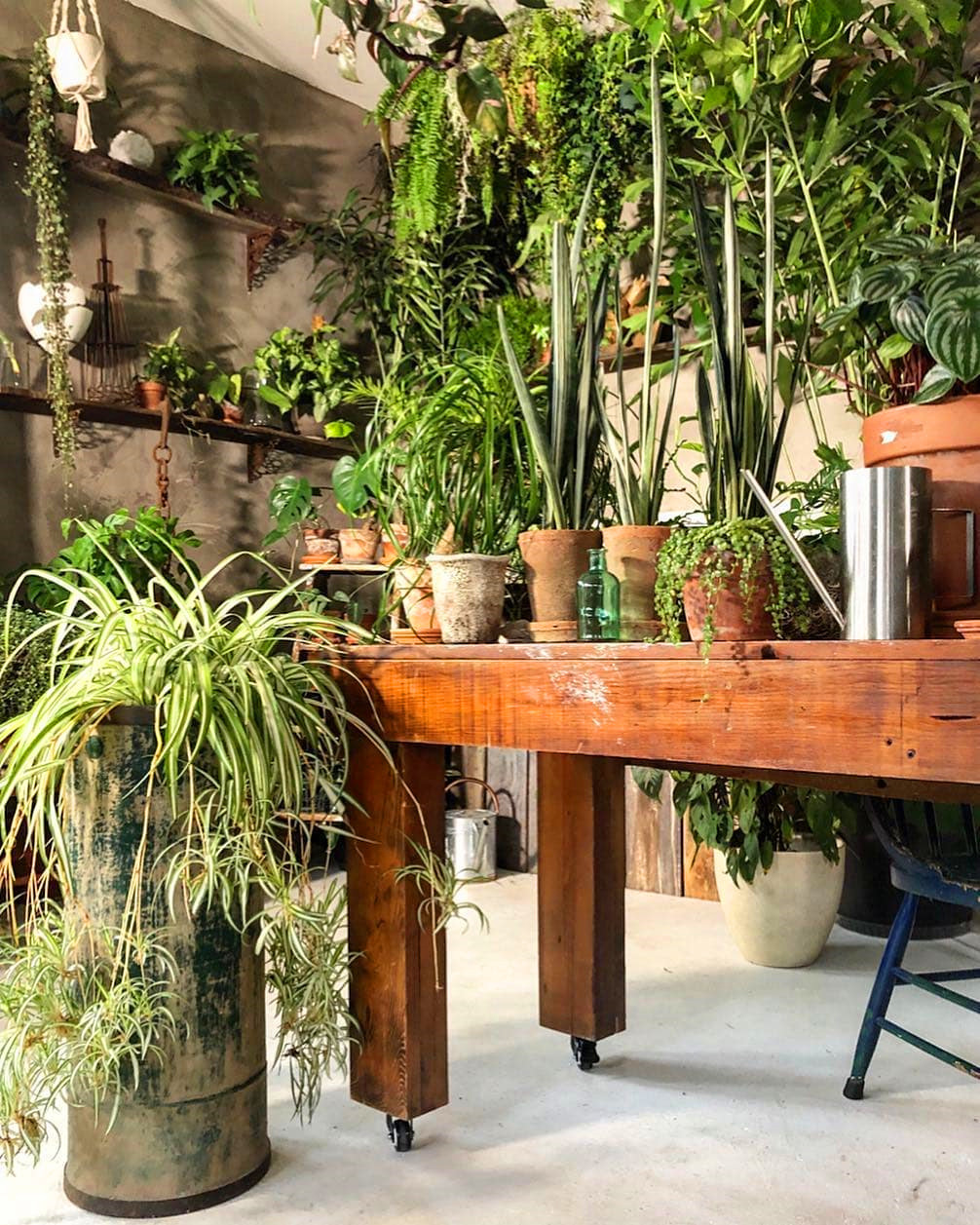 60+ Beautiful Indoor Plants Design in Your Interior Home