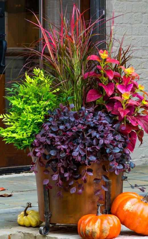 65 Diy Fall Decor Ideas For Indoor And Outdoor