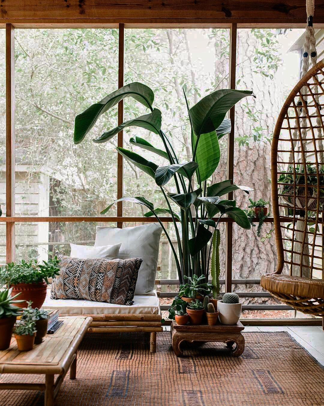 40+ Beautiful Plants Ideas For Home Decor