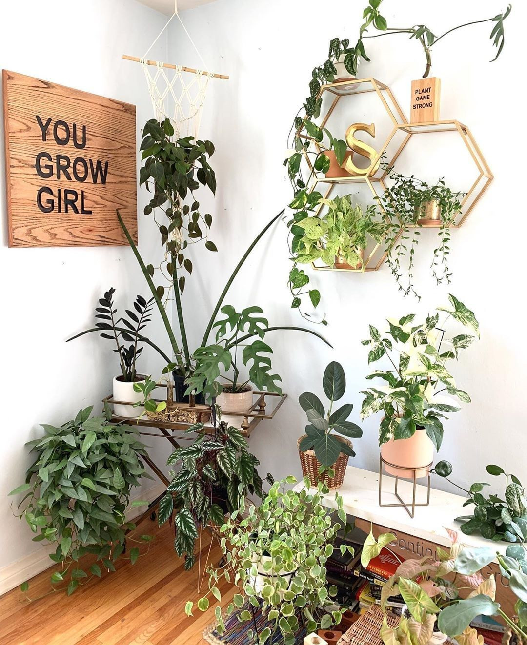 40+ Beautiful Plants Ideas For Home Decor