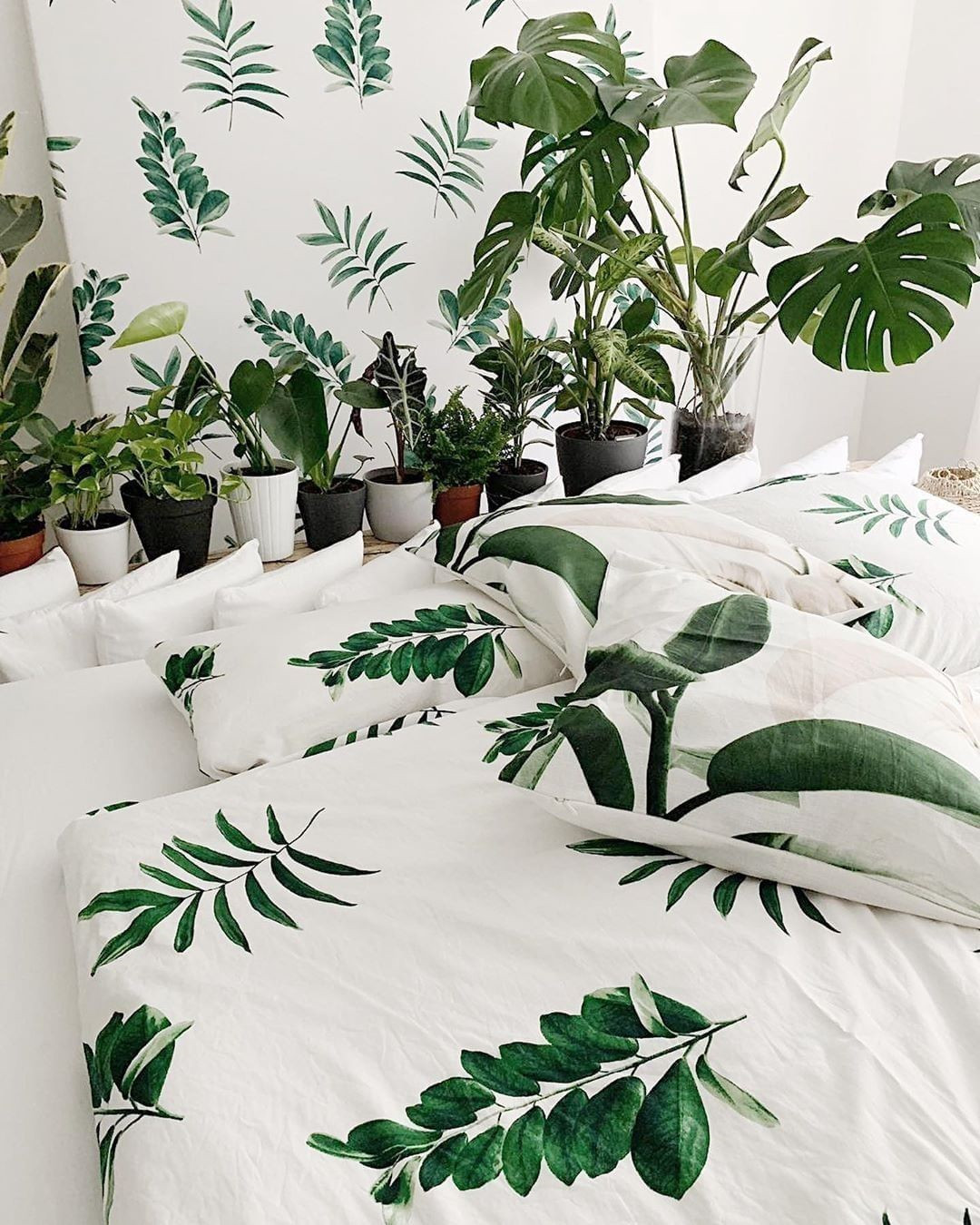 40+ Beautiful Plants Ideas For Home Decor