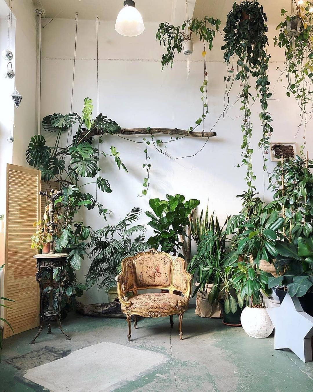 40+ Beautiful Plants Ideas For Home Decor