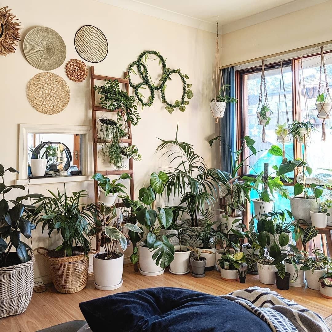 40+ Beautiful Plants Ideas For Home Decor