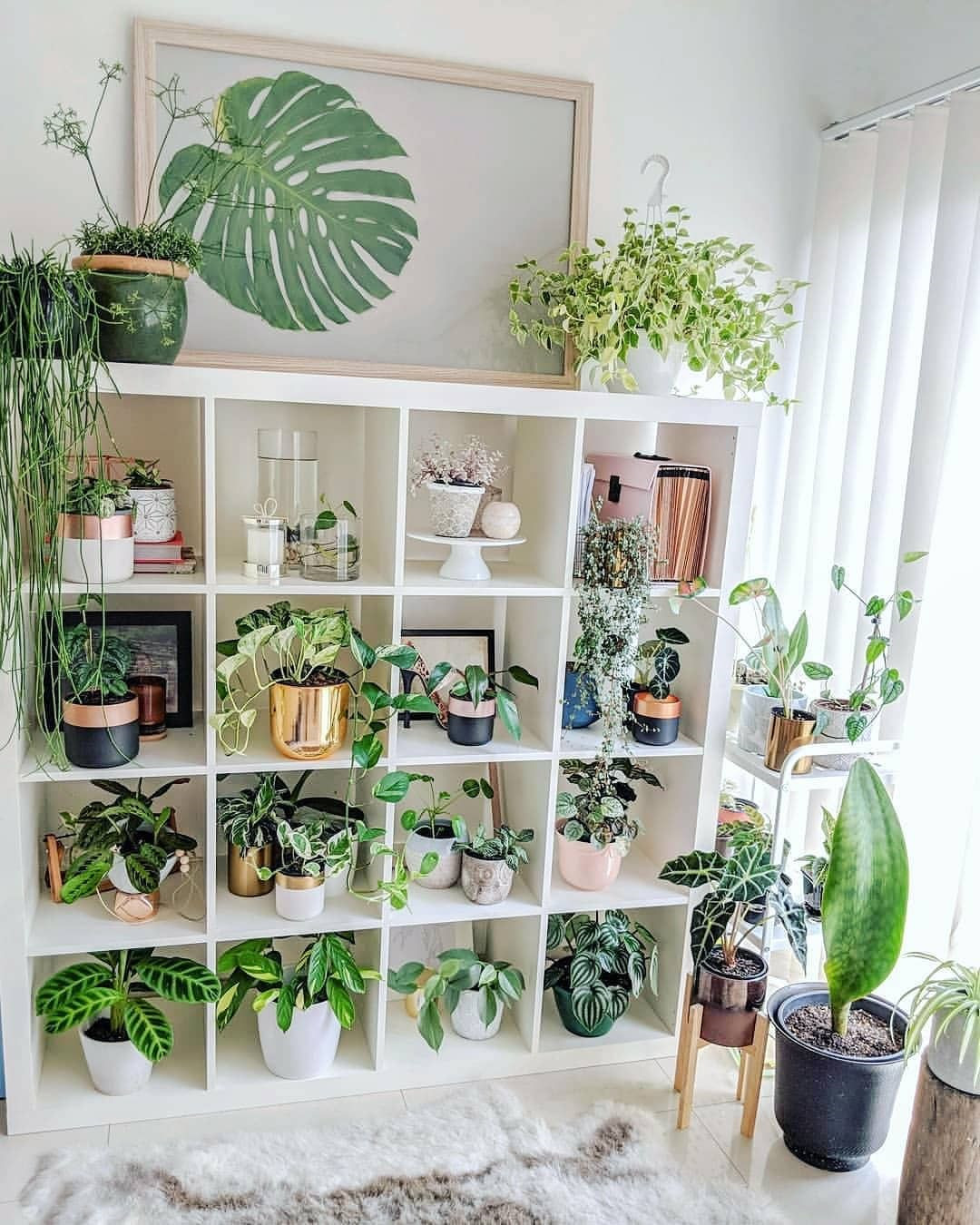 40+ Beautiful Plants Ideas For Home Decor