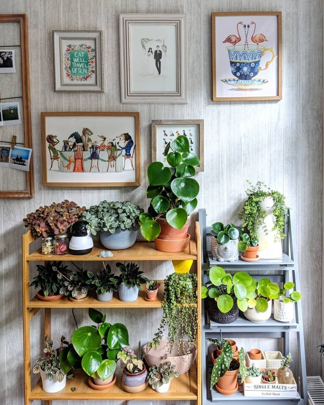 40+ Beautiful Plants Ideas For Home Decor