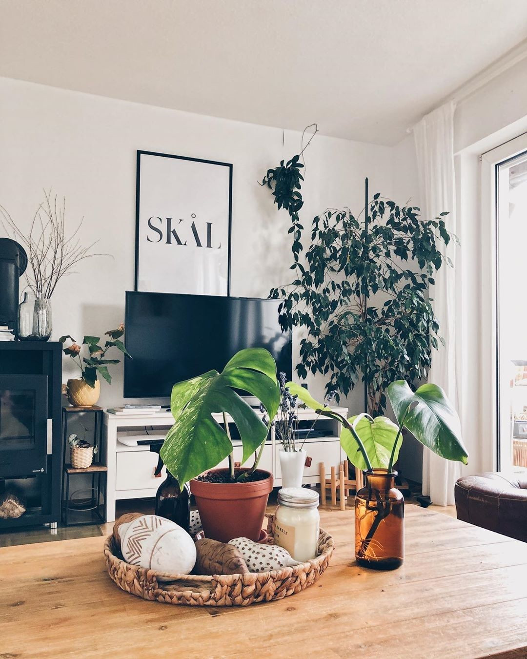 40+ Beautiful Plants Ideas For Home Decor