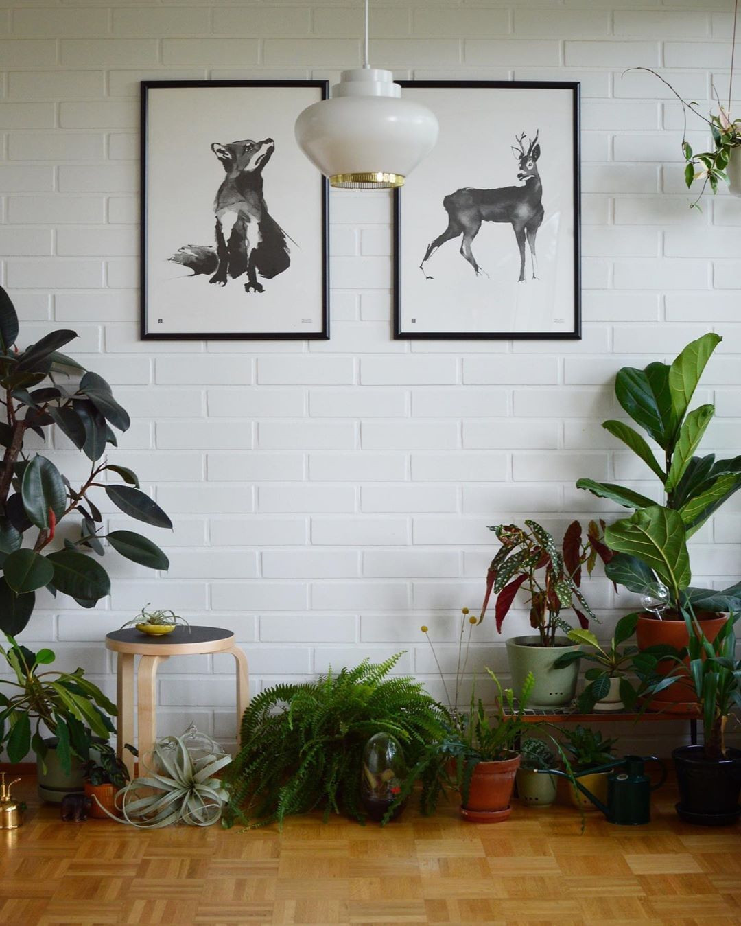 40+ Beautiful Plants Ideas For Home Decor