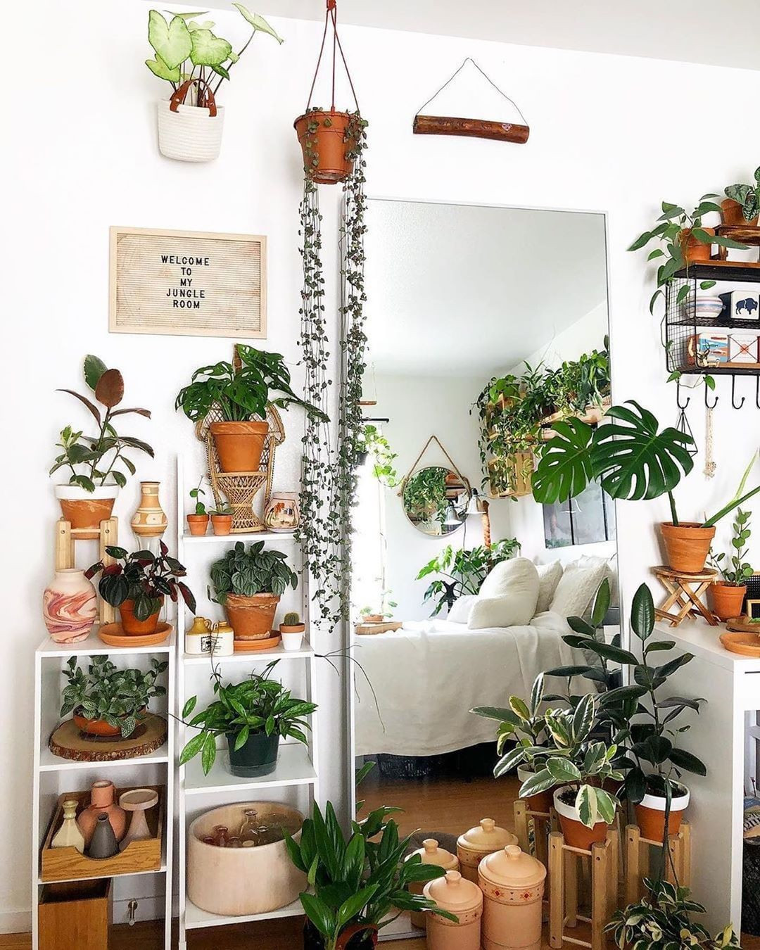 40+ Beautiful Plants Ideas For Home Decor