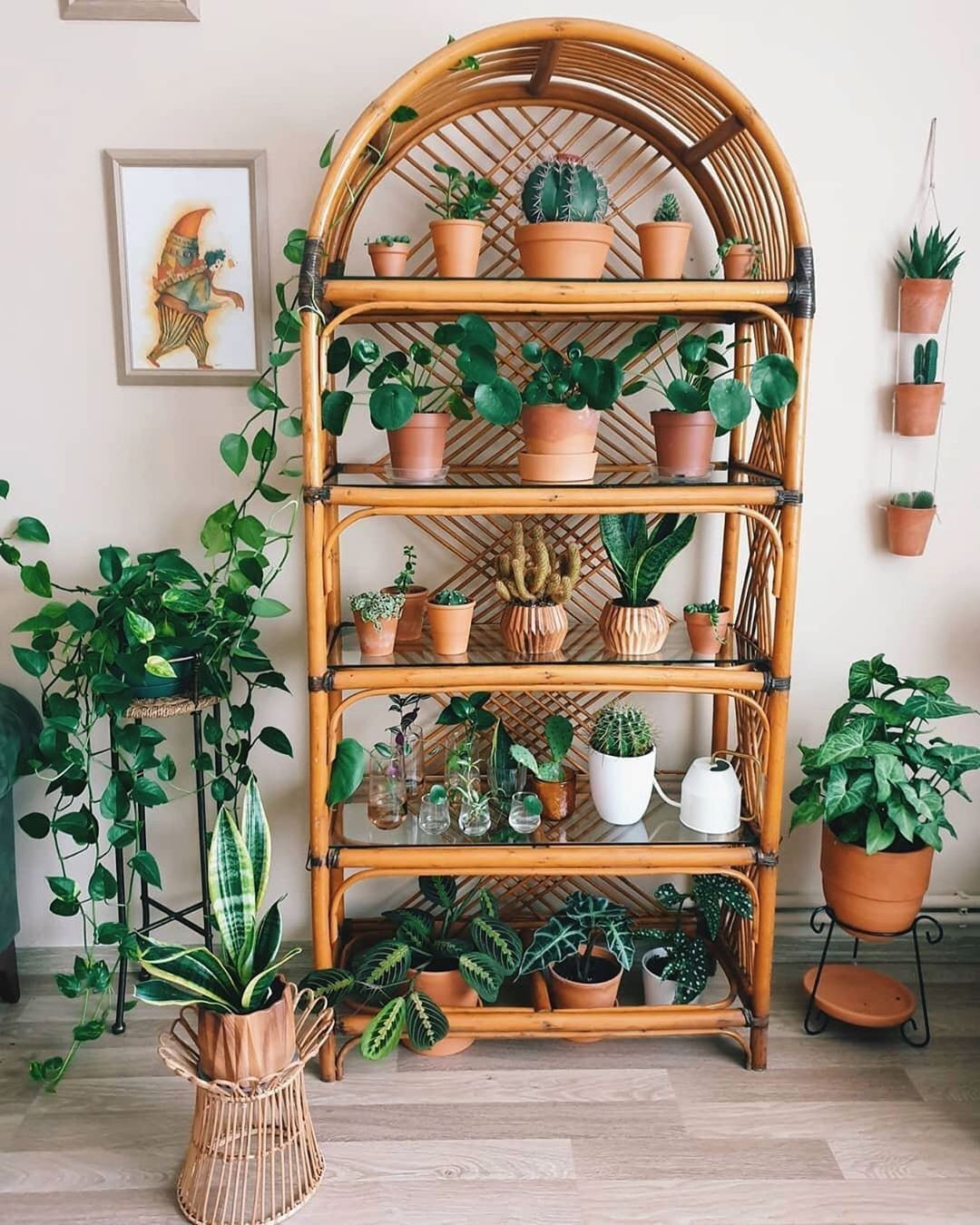 40+ Beautiful Plants Ideas For Home Decor