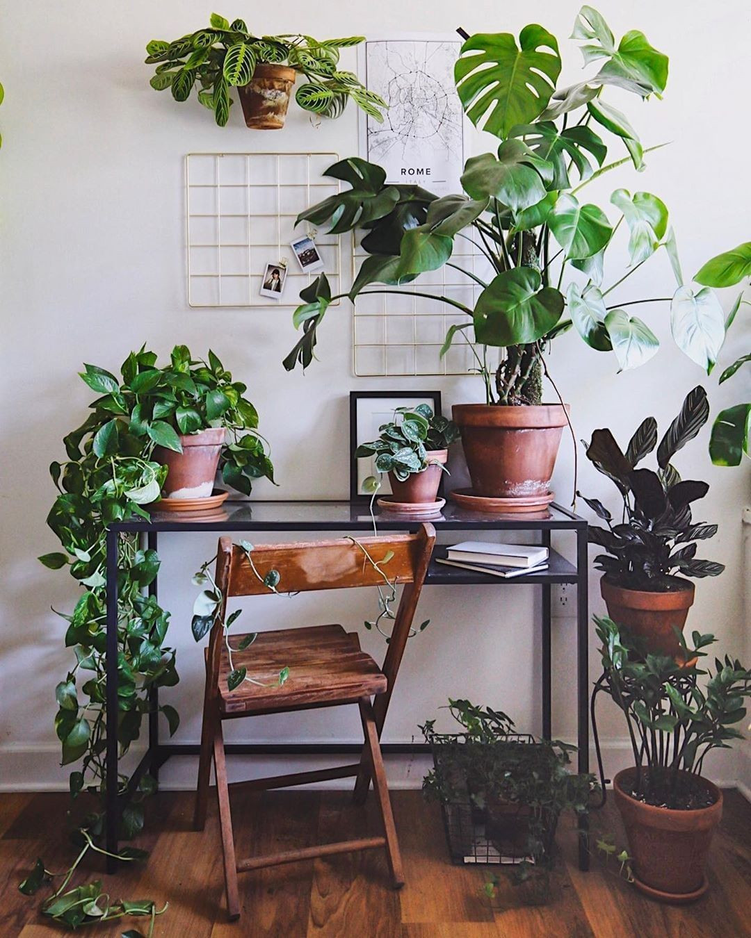 40+ Beautiful Plants Ideas For Home Decor