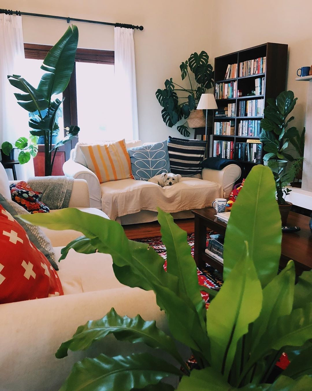 40+ Beautiful Plants Ideas For Home Decor flippedcase