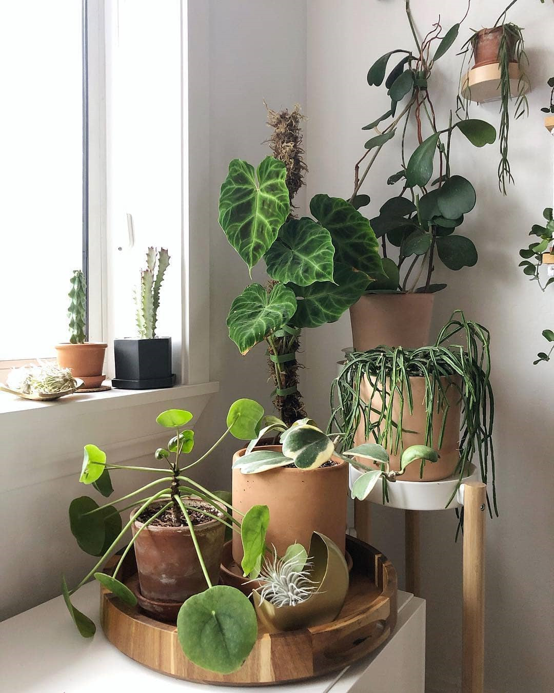 46 DIY Plant Stand ideas to Fill Your Living Room With Greenery