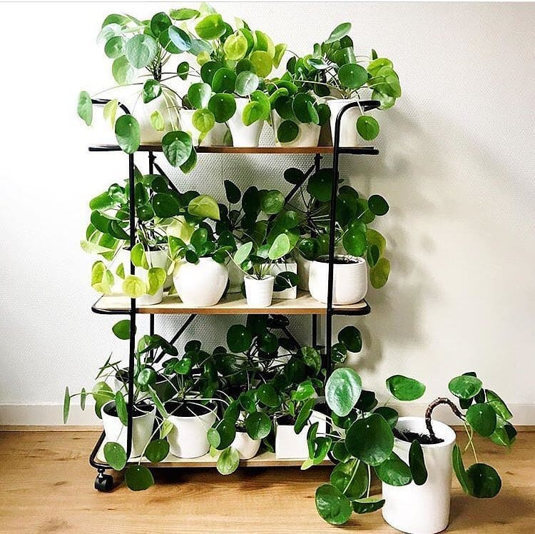 46 DIY Plant Stand ideas to Fill Your Living Room With Greenery