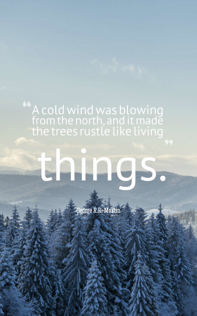 25 Favourite Winter Quotes to Welcome a New Chapter