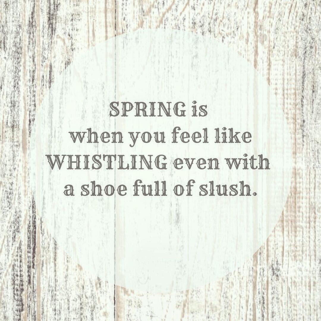 Best Spring Quotes to Welcome the Season of Renewal,hello spring quotes,funny spring quotes,happy spring quotes,spring flower quotes