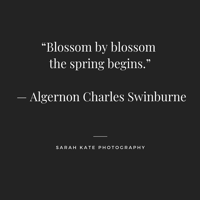 Best Spring Quotes to Welcome the Season of Renewal,hello spring quotes,funny spring quotes,happy spring quotes,spring flower quotes
