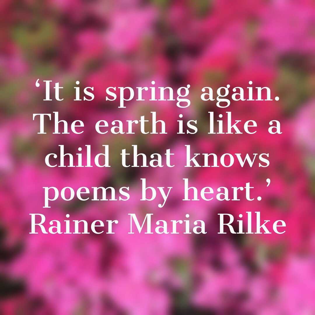 Best Spring Quotes to Welcome the Season of Renewal,hello spring quotes,funny spring quotes,happy spring quotes,spring flower quotes